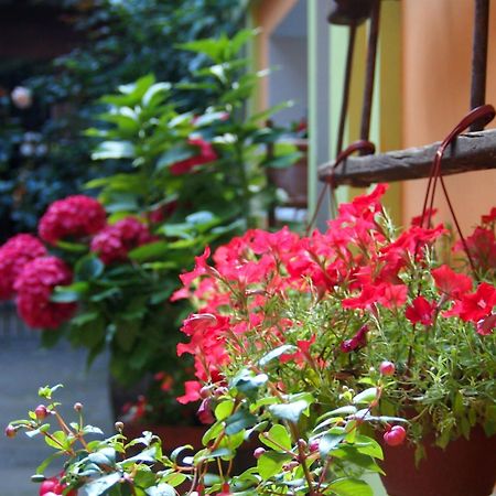 Guest Accommodation Etno Konak Tasana Nis Luaran gambar