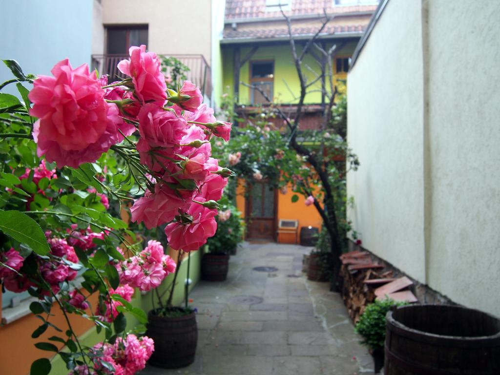 Guest Accommodation Etno Konak Tasana Nis Luaran gambar