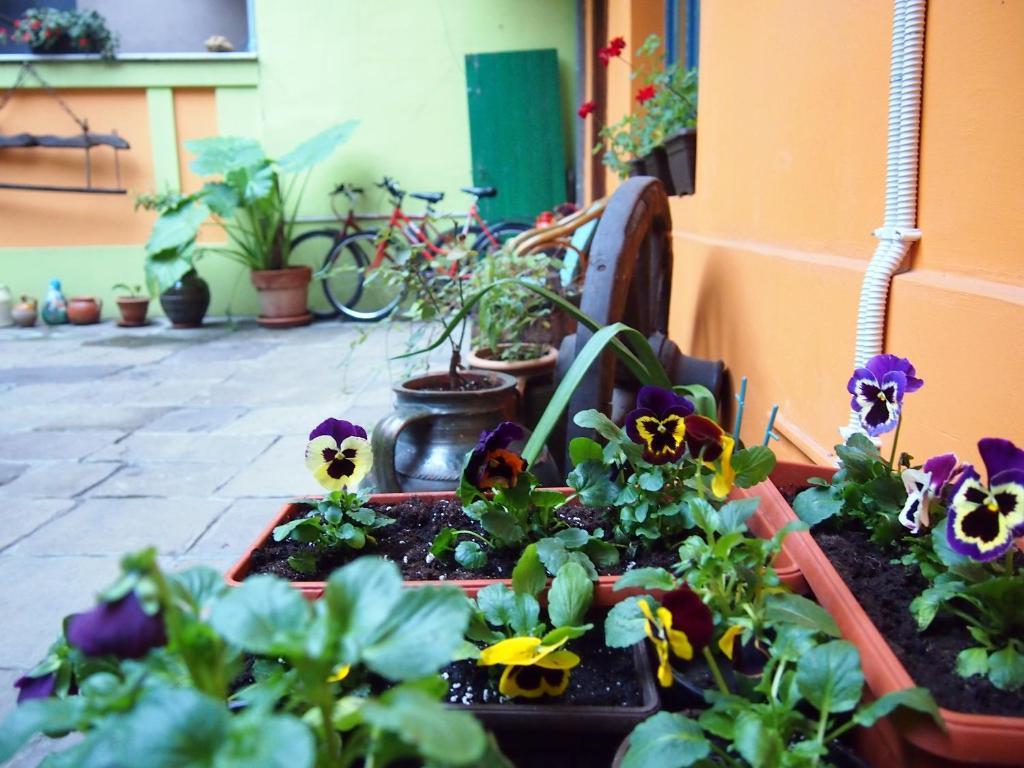 Guest Accommodation Etno Konak Tasana Nis Luaran gambar